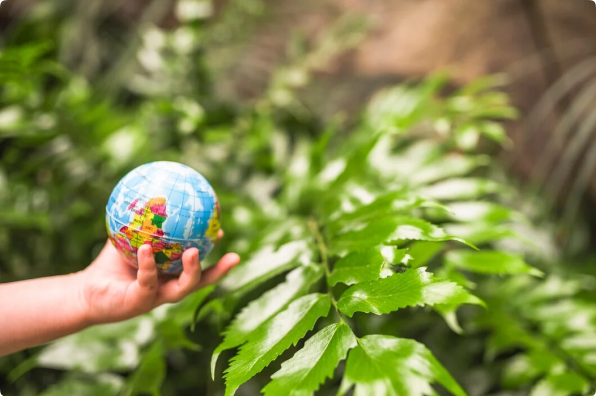 Resource Conservation